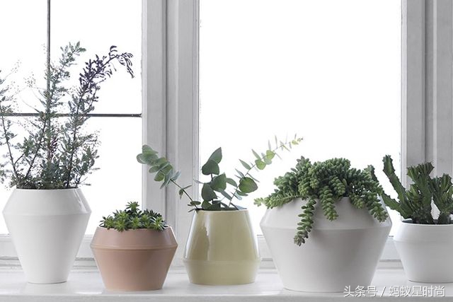 平价北欧品牌有哪些,来自北欧的小众品牌