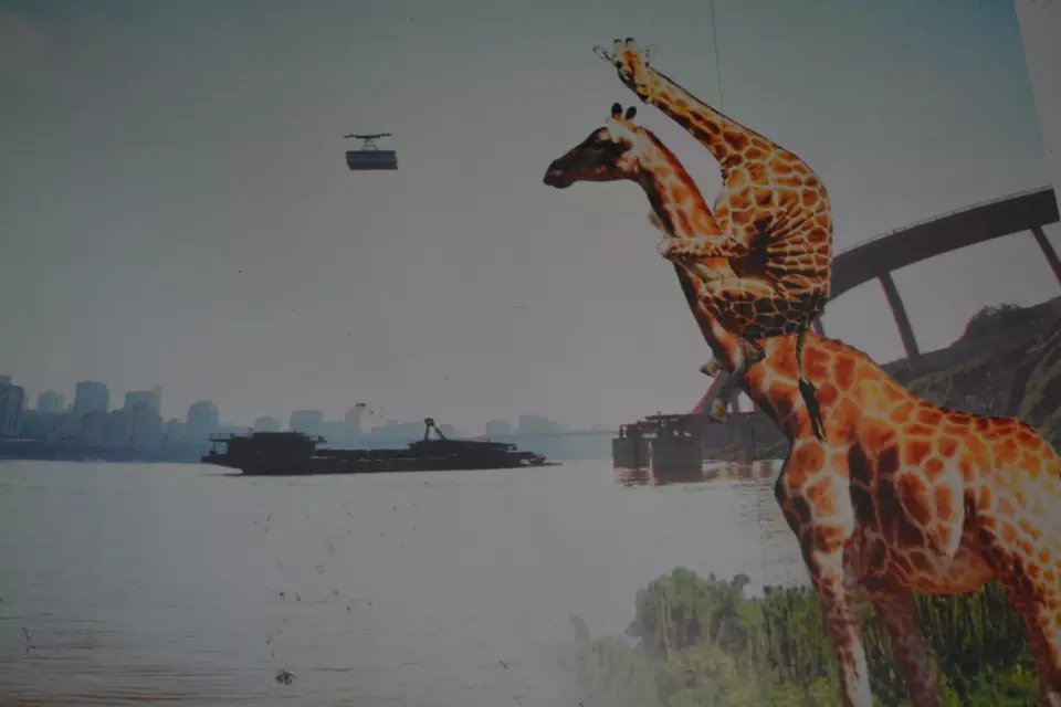 什么是代沟意思,什么是代沟的深层含义