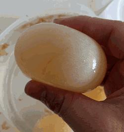 鸡蛋遇到什么会变成弹力球,用白醋泡鸡蛋变成弹力球