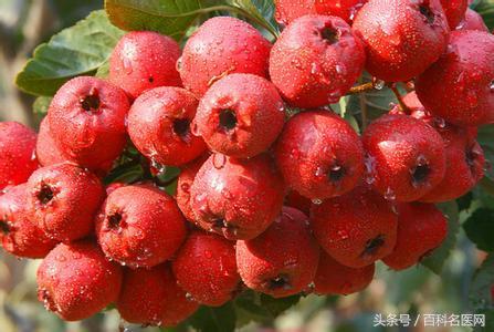 慢性胃炎伴有糜烂不能吃的水果,慢性胃炎什么水果对胃好更养胃