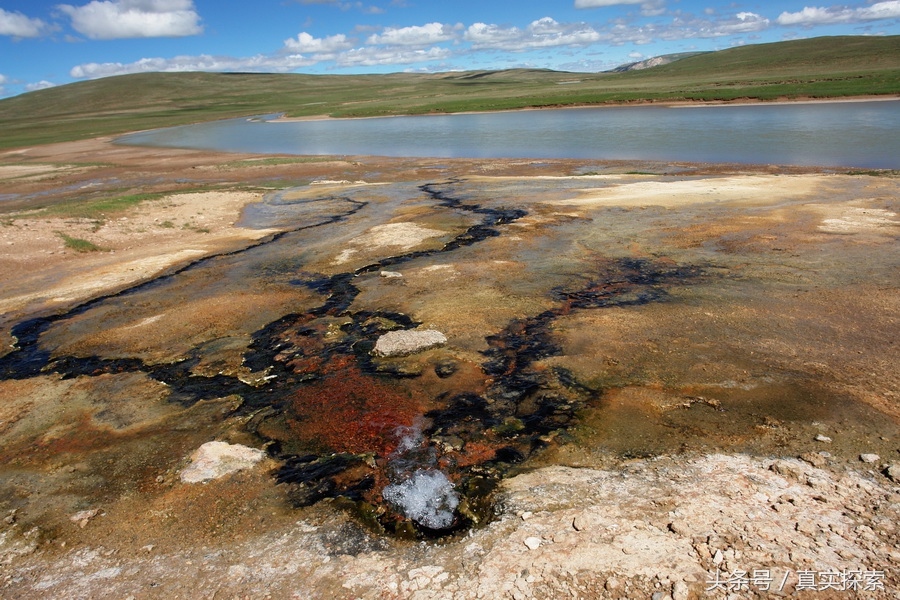 荒野求生秘籍完整版,荒野自救教程