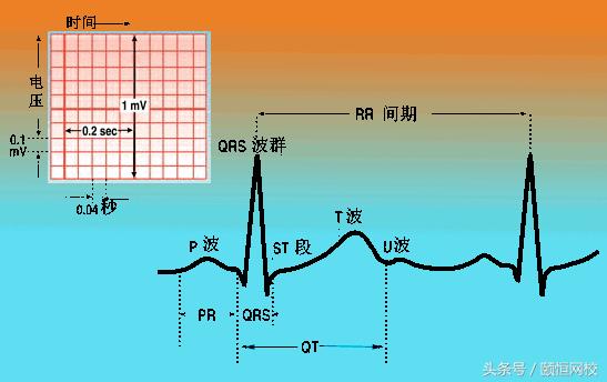 郭雅卿零基础心电图教学口诀,郭老师教你心电图口诀