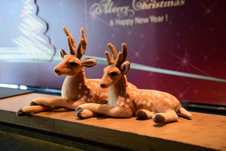 上海迪士尼乐园,上海迪士尼游记