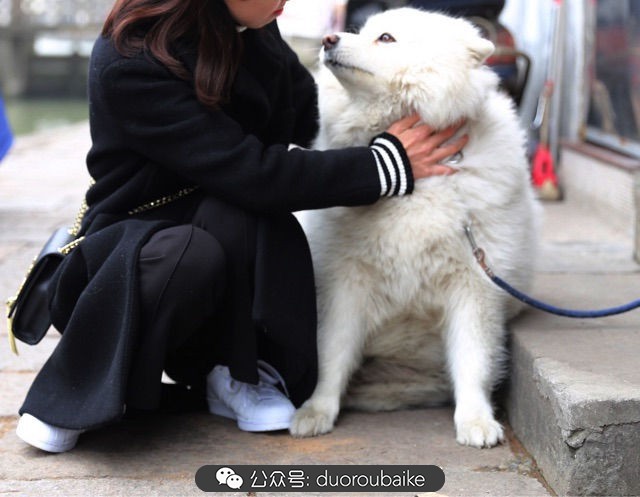回忆之旅最适合带的植物,野外旅游必须记住的植物