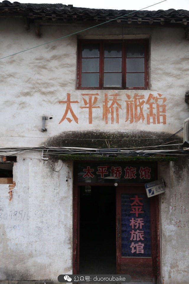 古镇寻肉记:那些旅行中遇见的植物!