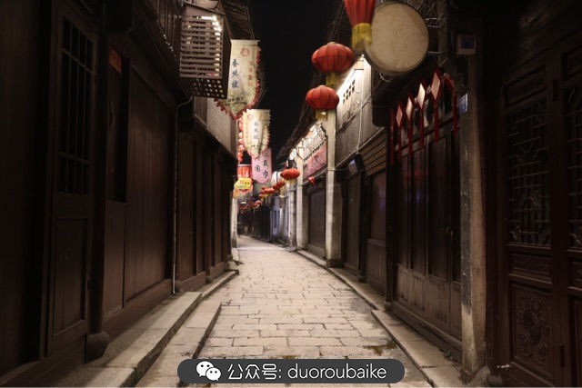 古镇寻肉记:那些旅行中遇见的植物!