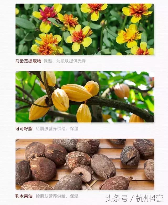 热量低的巧克力派,吃不胖的巧克力派推荐