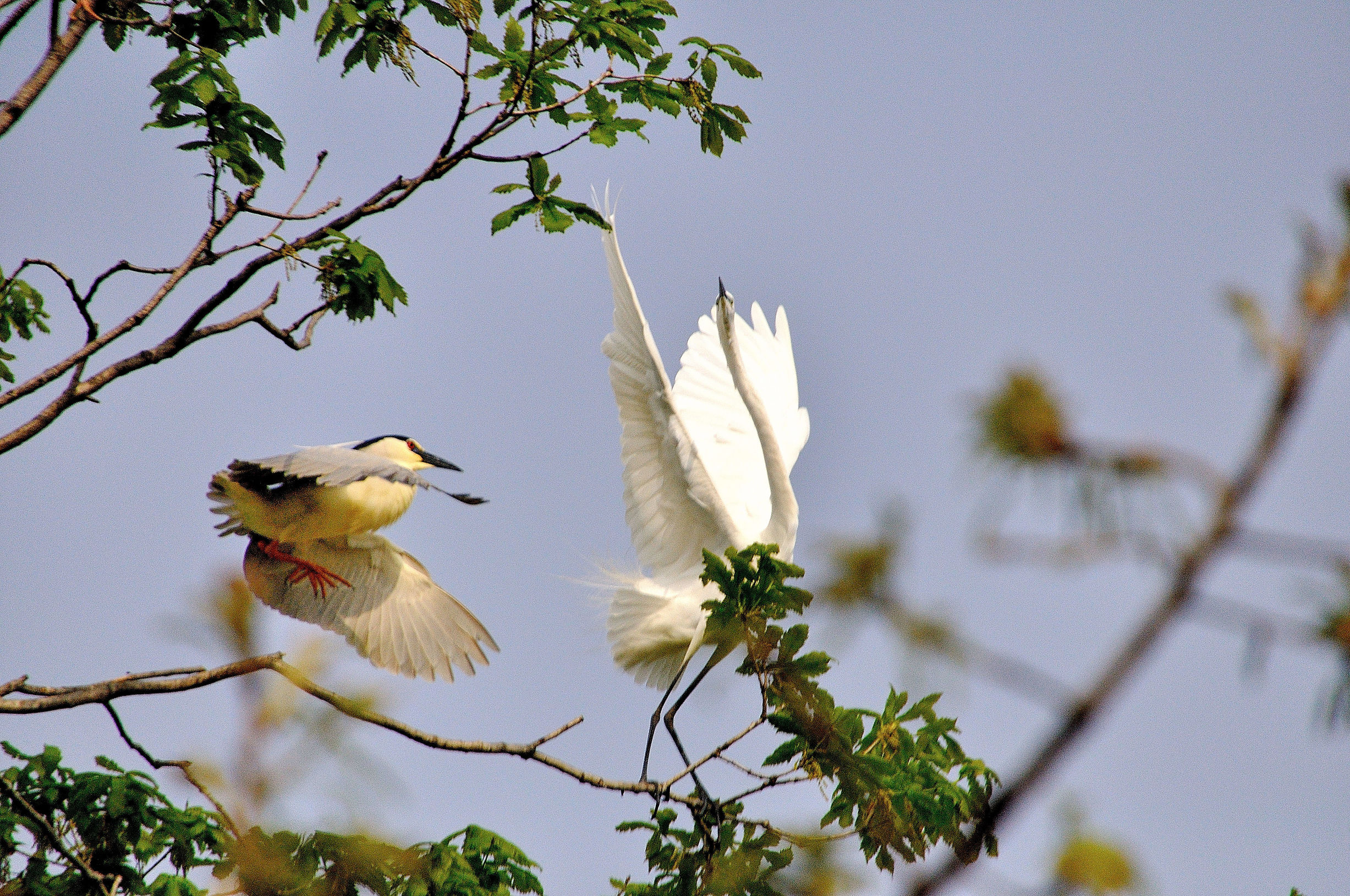 丹东风光无限,丹东风光视频