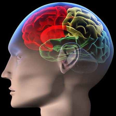 智商测试聪明指数,智商测试5分钟图片