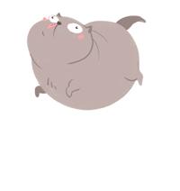 龟苓膏什么人不宜吃,阿胶龟苓膏啥东西