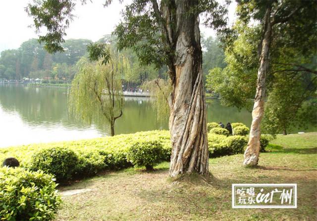 广州最新最美最好玩的景点,广州最值得去玩的景点推荐一下