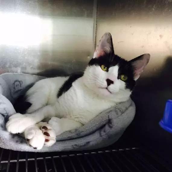 「2月上海春季」有爱领养