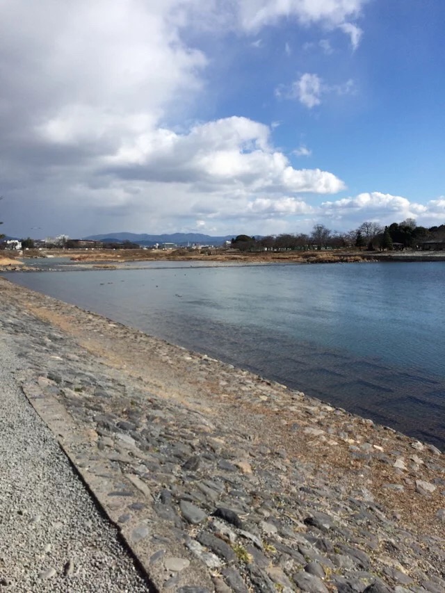 日本旅游马桶,日本旅游购物攻略一览表