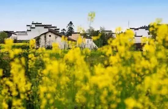 中国十四天旅行攻略 (顺着24节气游遍中国)