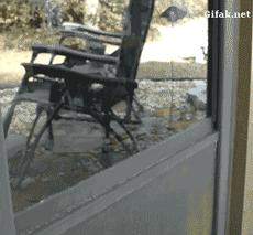 信息快报｜第278期（今日共18条）现在当爹的都有套路了！