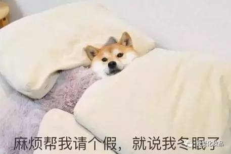 年度爱用大牌彩妆不买后悔系列,2022年度爱用物彩妆