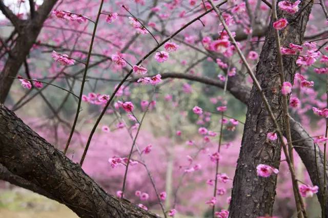 宁波北仑旅游攻略图,宁波北仑旅游景点大全攻略图