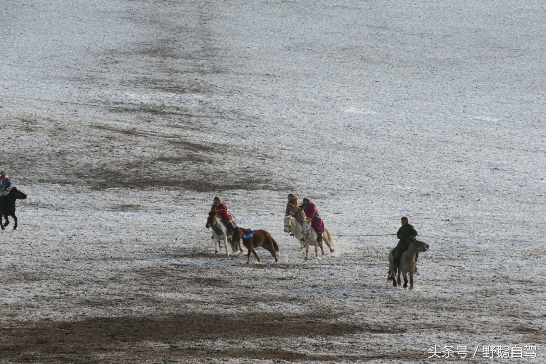 锡林郭勒盟那达慕自驾攻略,锡林郭勒冰雪那达慕完整版
