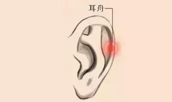 如何正确按揉耳朵,正确揉耳朵的方法