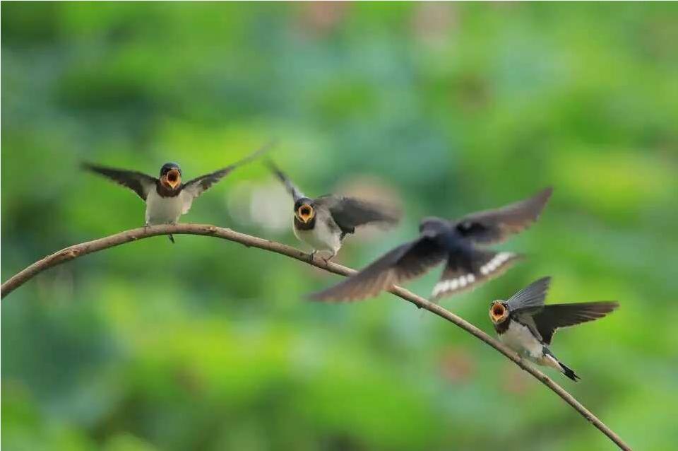 短线王者,王者中线在哪个位置