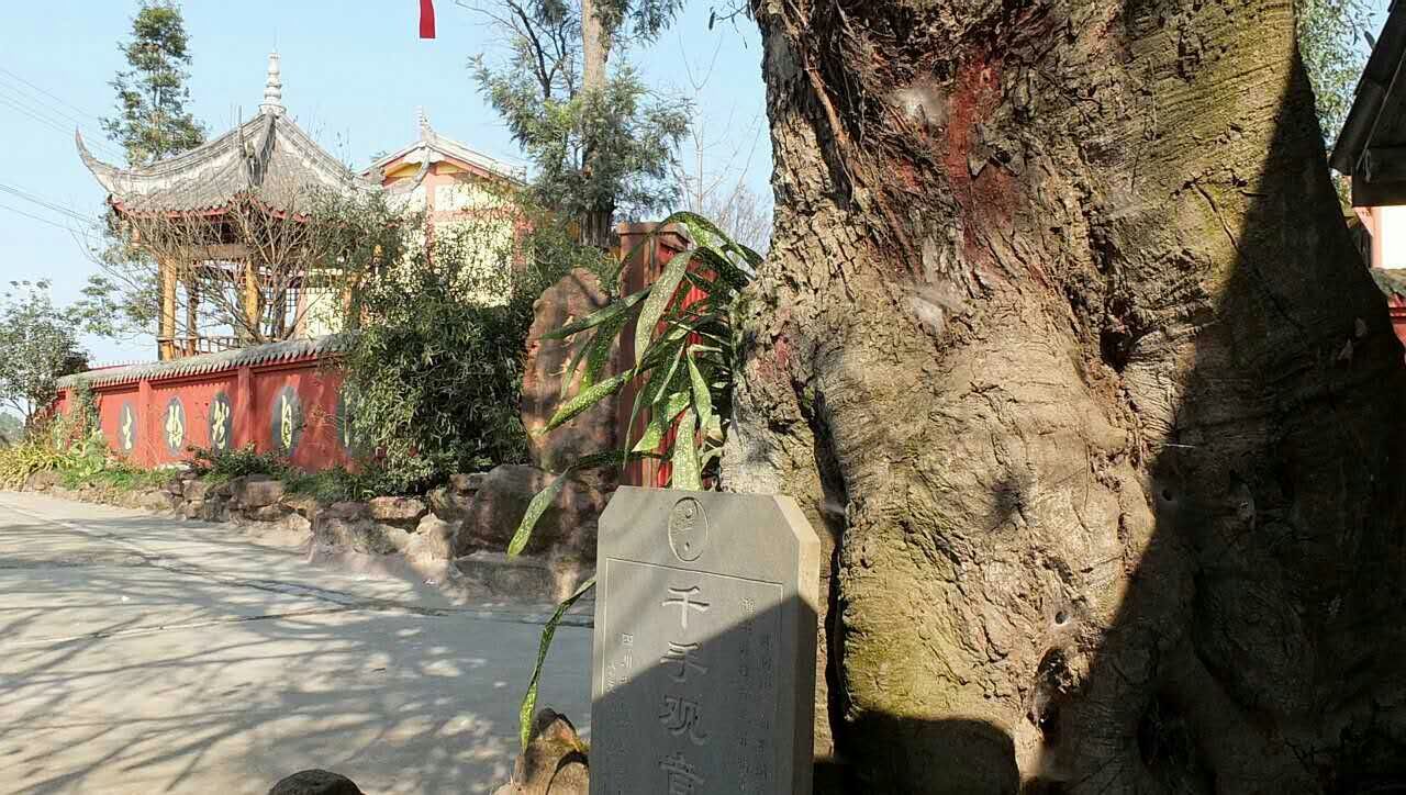 张道陵显灵,张道陵显灵事件四川