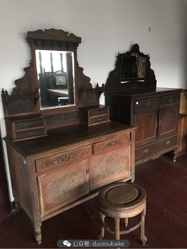 回忆之旅最适合带的植物,野外旅游必须记住的植物