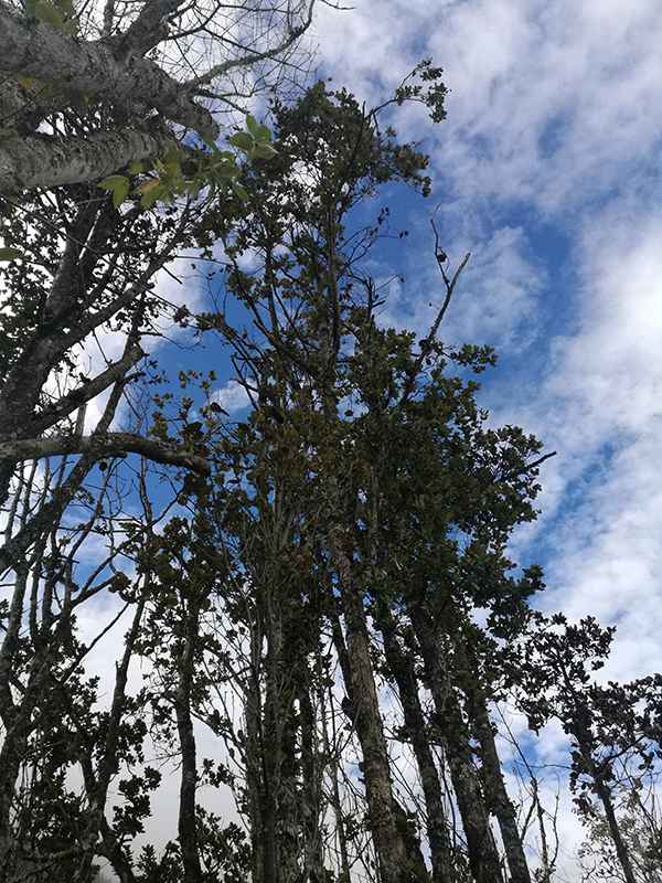 滇藏219线骑摩托进藏最全攻略,2021滇藏进藏自驾游