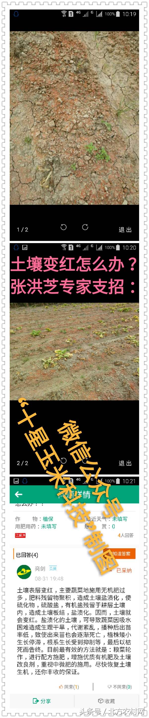 土壤发红是怎么解决,土壤发红发绿如何解决