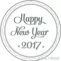 乐器测评琵琶,海鸥必买的17件神器