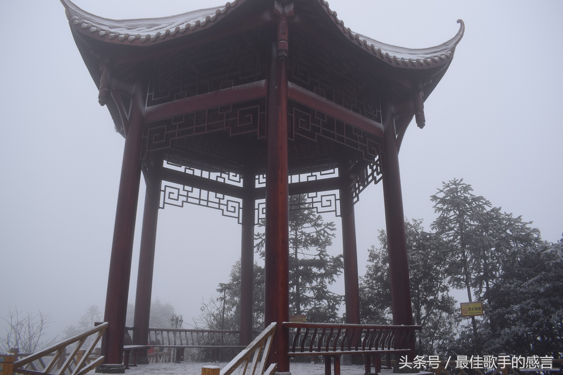 尼康d3300相机推荐新手入门,尼康d3300单反相机入门教程