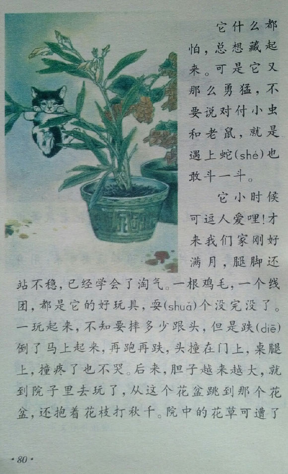 小学四年级，温暖你的童年记忆，老课本的温馨