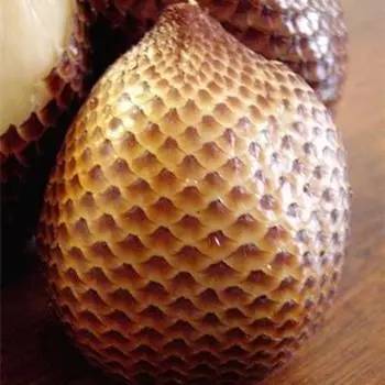 冷门水果蛇皮果,蛇皮果有百年糊涂味