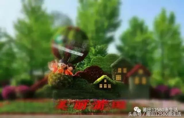 这个时候莆田哪里可以赏花,莆田春天哪里赏花