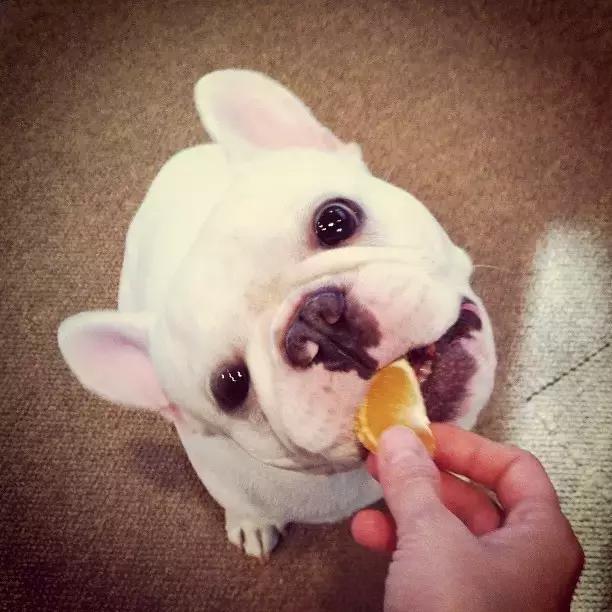 有个喜欢你的女生,有个喜欢的人真好