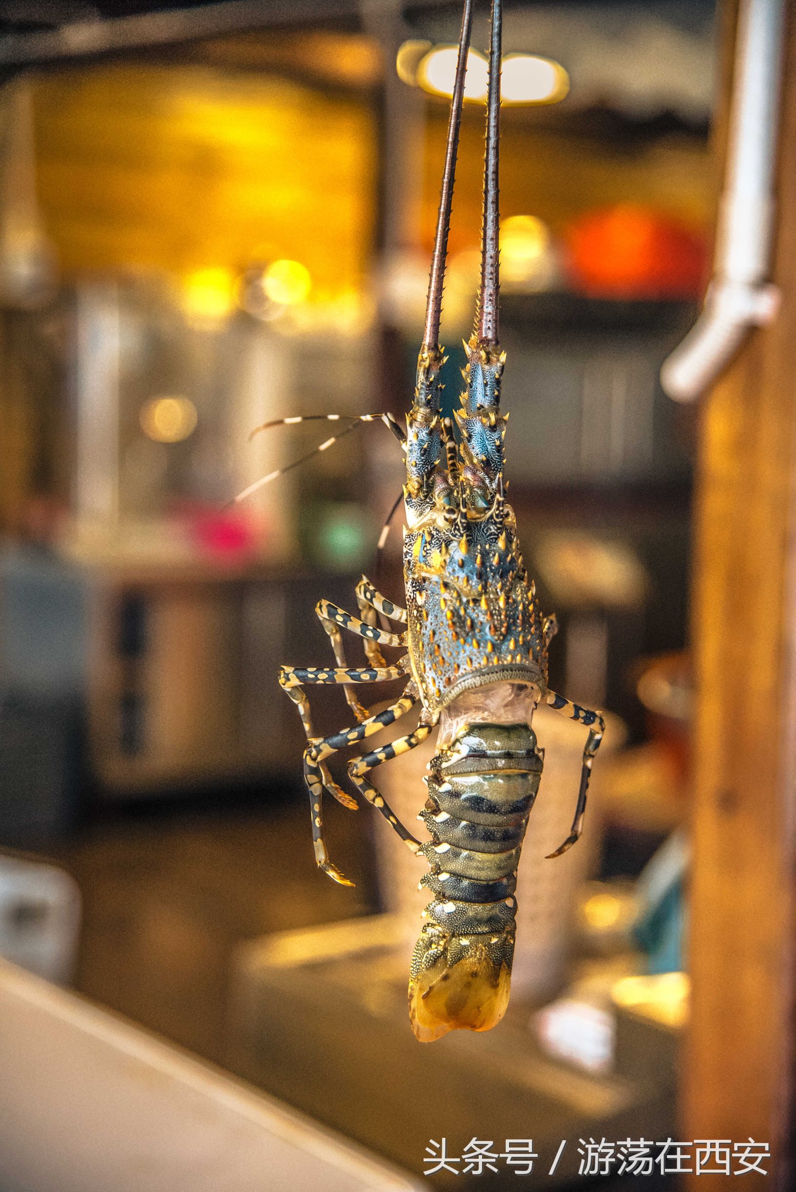 去海南怎么可能不去天涯海角,去海南不吃海鲜怎么办