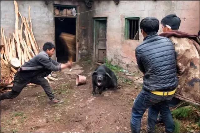 李劲松昭通,昭通李劲松