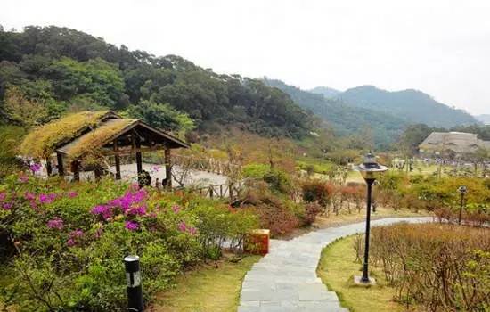 厦门有哪些山峰,厦门哪些山可以爬的