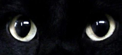 这款私人视力*踪器追**，验光配镜在家轻松搞定！