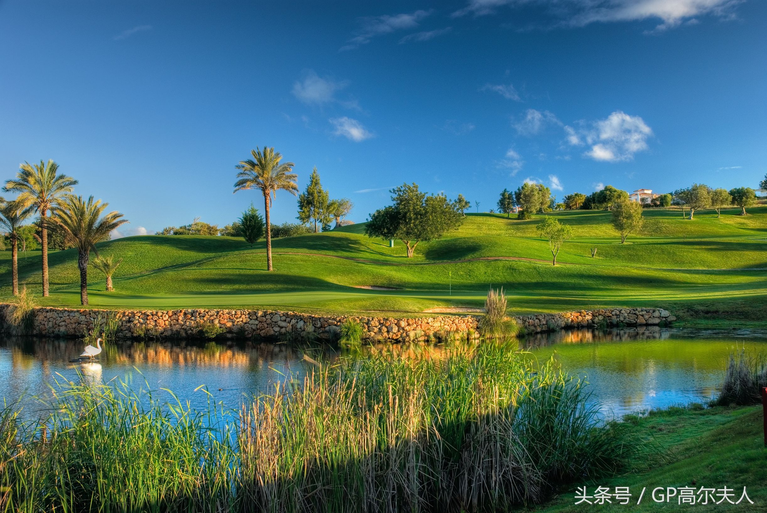 阿尔加维，葡萄酒乡的小球风光