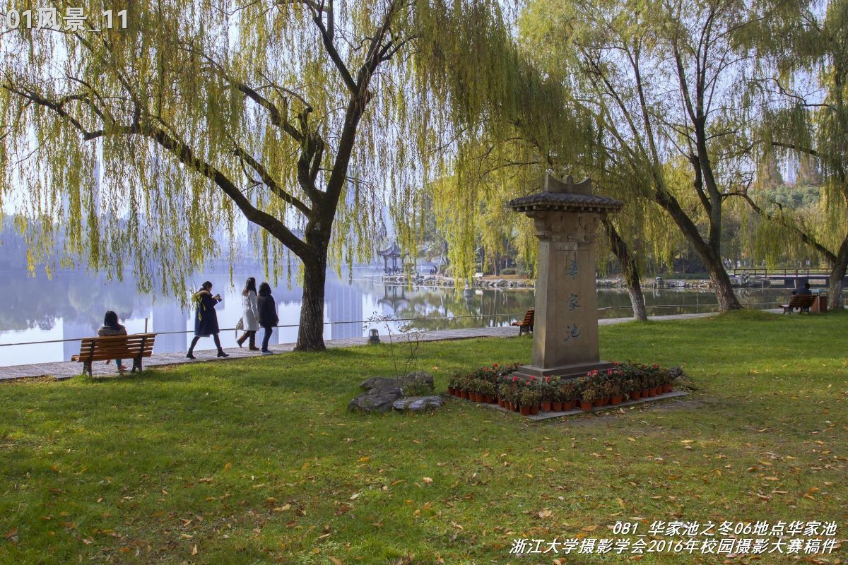 浙江大学是中国最水的大学,一分钟带你了解浙江大学