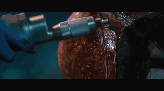 这具尸体一动不动，却制造了年度恐怖大戏！