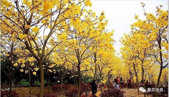 旅游业软文怎么写,深度旅游软文推广怎么做