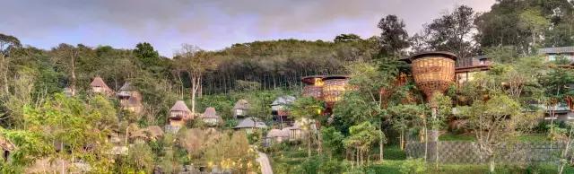 楦熷发搴﹀亣閰掑簵浣撻獙,闅愯棌鍦ㄥ師濮嬫.鏋楃殑娴峰崡楦熷发閰掑簵