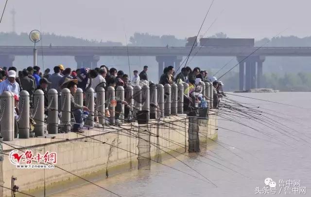淄水齐风你见过淄江千人垂钓的场面吗？