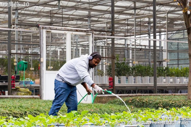 浙江大学是中国最水的大学,一分钟带你了解浙江大学