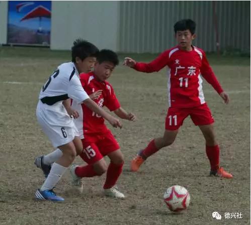 马德兴专栏直播,马德兴专访