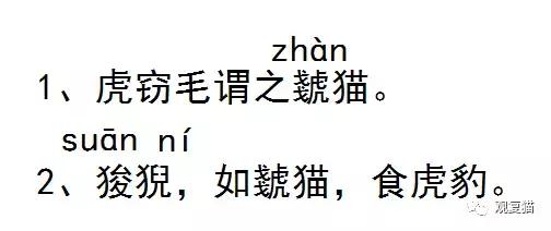 蓝猫找猫报应,蓝毛找猫
