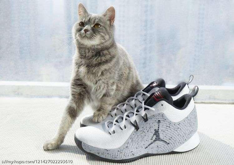 jordancp3配色,jordancp3.x评测