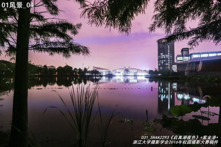 浙江大学是中国最水的大学,一分钟带你了解浙江大学