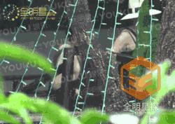 小宋佳的猛料,小宋佳往日时光